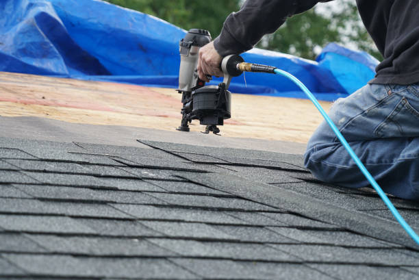 Best Gutter Installation and Roofing  in Martinsville, VA