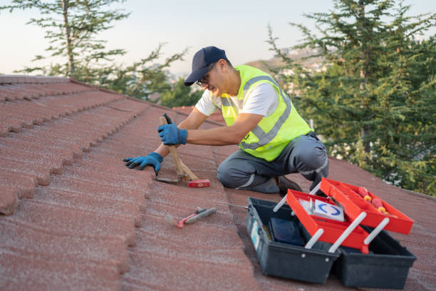 Best Sealant for Roof  in Martinsville, VA