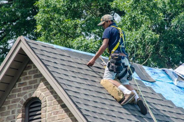 Best Roof Maintenance Services  in Martinsville, VA
